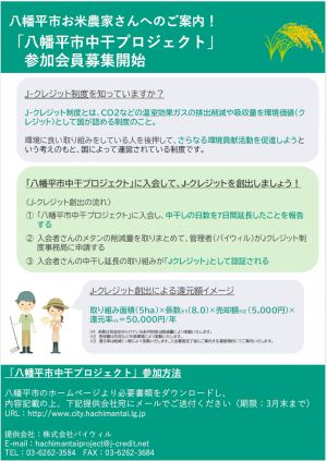 チラシ1