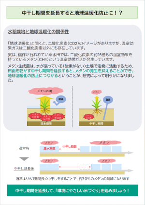 チラシ2