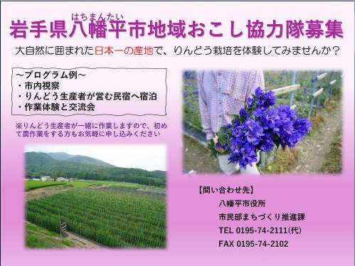 募集チラシ